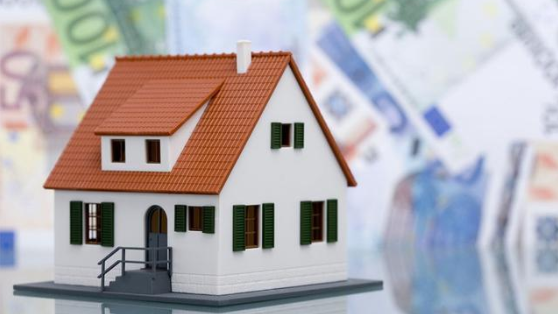 Real Estate Consultation